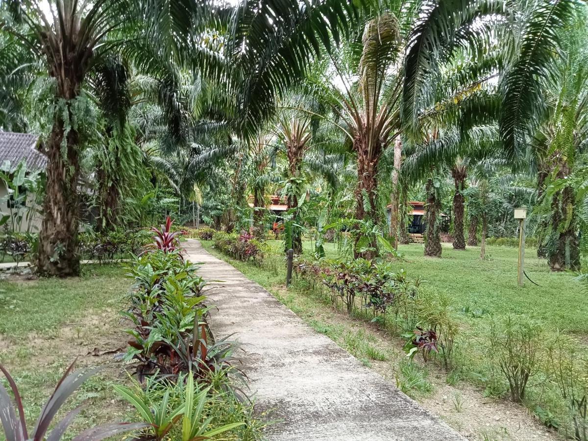 Khao Sok Palm Garden Resort Khao Sok National Park Exterior photo