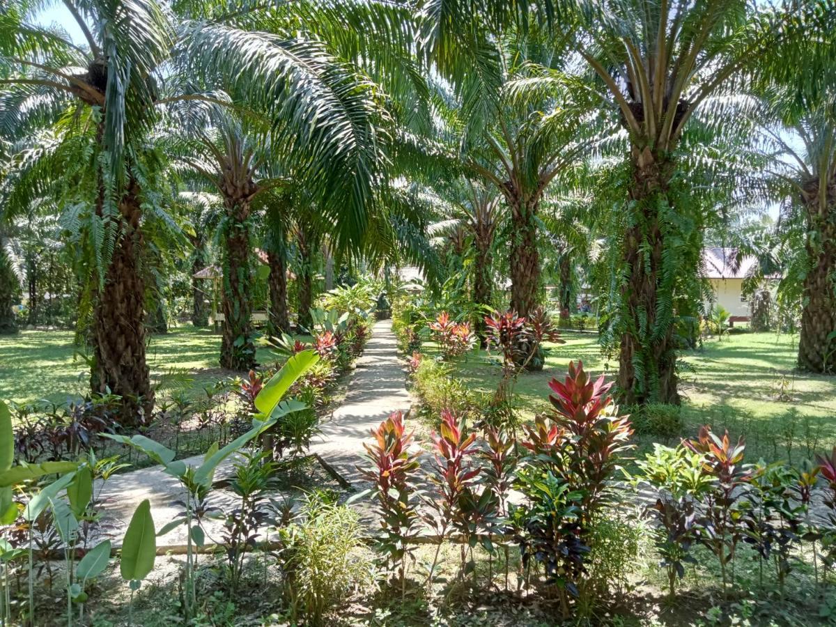 Khao Sok Palm Garden Resort Khao Sok National Park Exterior photo