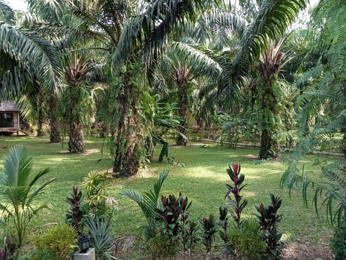 Khao Sok Palm Garden Resort Khao Sok National Park Exterior photo